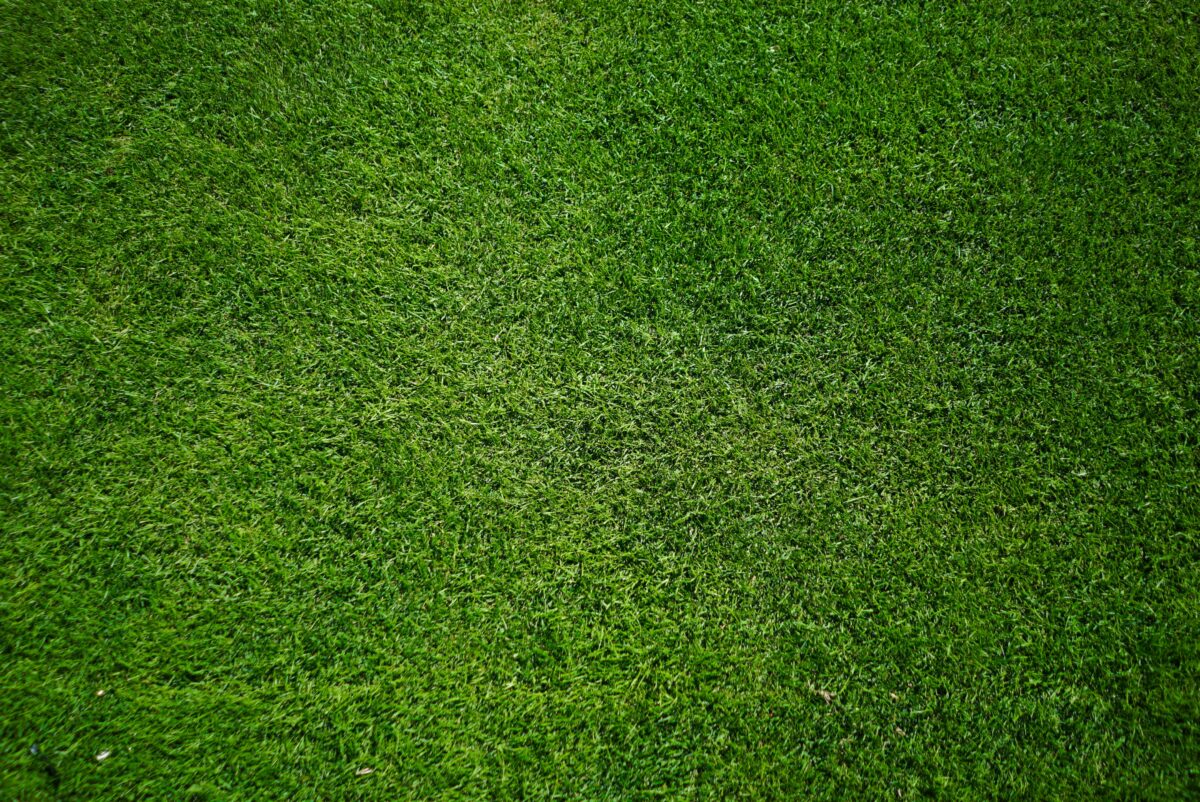 What Does It Really Mean to Dream of Grass? Unlock the Hidden Message Behind This Common Dream